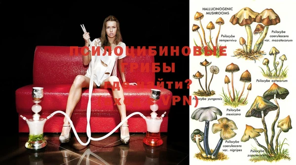 герыч Корсаков