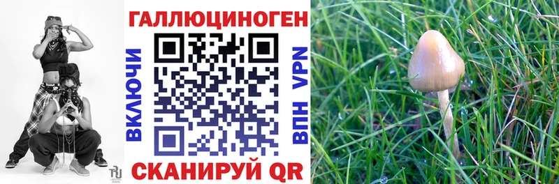 ссылка на мегу зеркало  Орёл  Псилоцибиновые грибы Psilocybine cubensis 